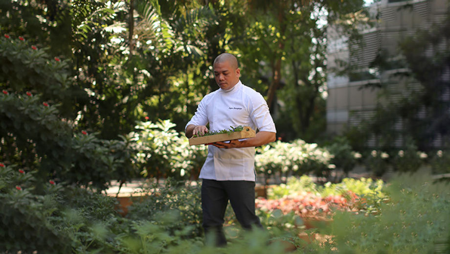 Conrad Bangkok boasts a rooftop garden of various herbs and vegetables.
