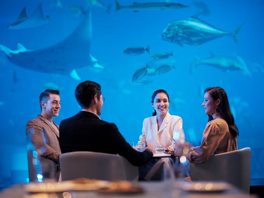 The S.E.A. Aquarium will be rebranded as the Singapore Oceanarium, and will feature a new Research and Learning Centre, seminar rooms and a rooftop events space.