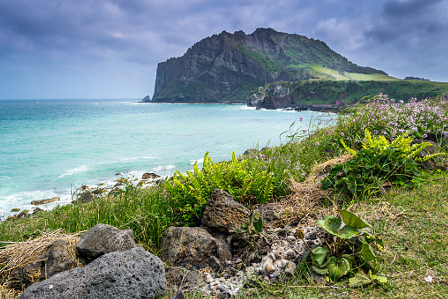 Mount Hallasan is known among locals as the "mountain high enough to pull the galaxy."