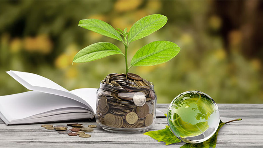 Good climate finance: projects that are independently verified, and supporting ecosystems and communities affected by the adverse effects of climate change.