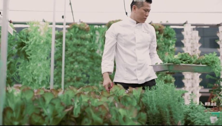 The industry's first urban aquaponics farm at Fairmont Singapore and Swissôtel The Stamford unveiled October 2020.