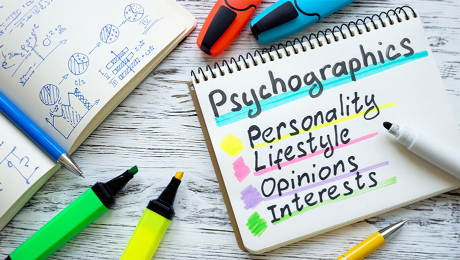Psychographics delves into delegates’ areas of expertise and the challenges they face.