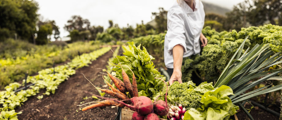 Sourcing ingredients locally is becoming a staple request among planners looking to organise sustainable events.