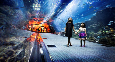 The Dubai Aquarium & Underwater Zoo.