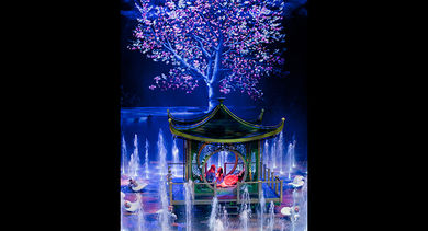 Captivating performances of The House of Dancing Water.