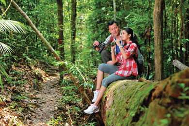 Jungle trekking in Langkawi