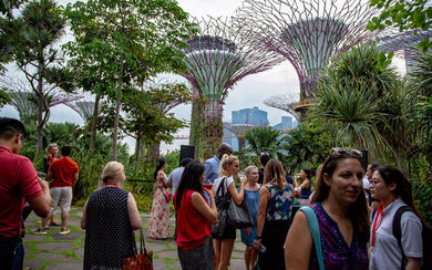 The Secret Life of Trees at Gardens by the Bay.