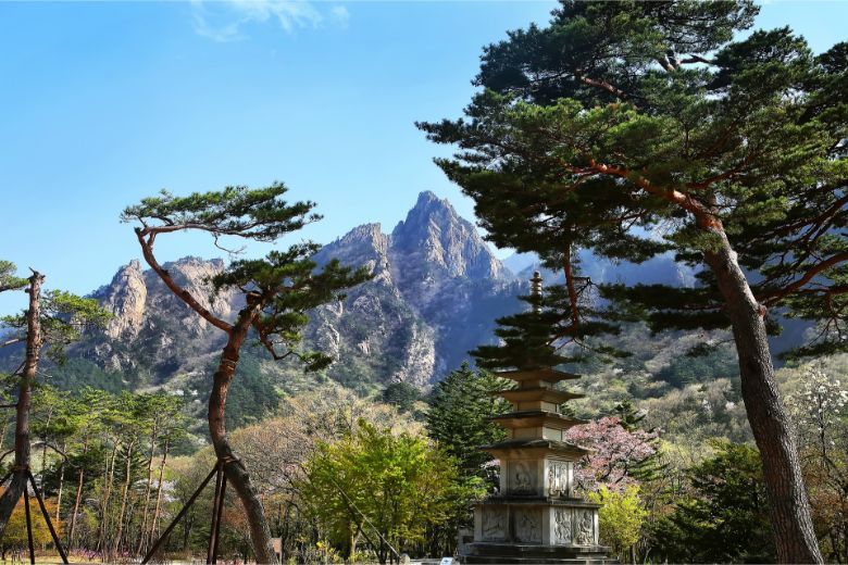 ezxkorea210120 ezxkorea210120