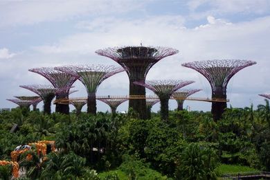 LAS VEGAS – The Singapore Tourism Board (STB) has launched a global incentive programme aimed at attracting potential visitors from the global MICE sector.