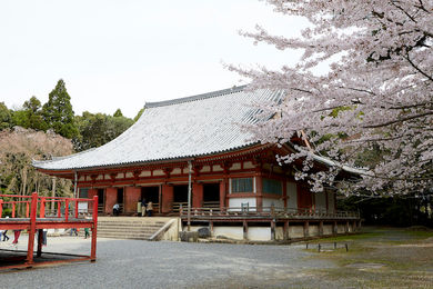 Kyoto turns on the charm