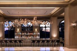 Bar-Juniper-Ritz-Carlton-Dallas-Las-Colinas