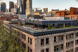 Populus Debuts Second 'Carbon-Positive' Hotel