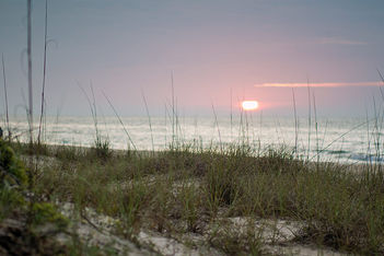 Florida’s St. George Tops List of Best Beaches in the U.S.
