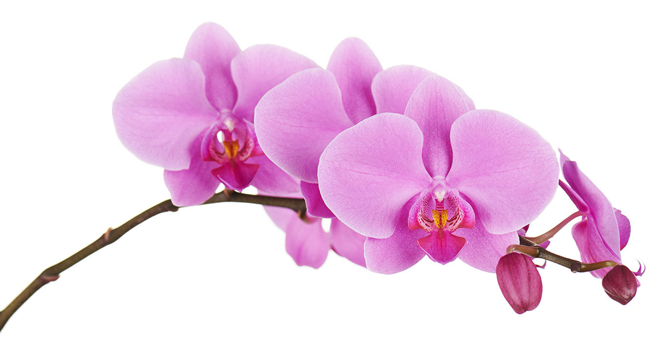 Go Bold With Spring Colors