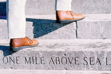Denver Destination Guide