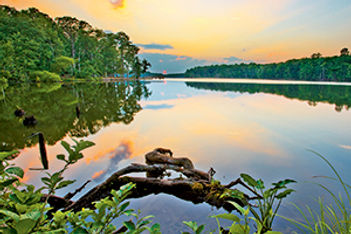 Virginia Destination Guide