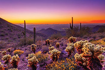 Scottsdale Destination Guide