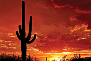 Arizona Destination Guide