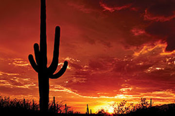 Tucson skies
