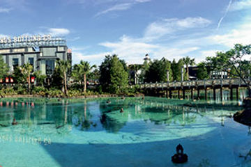 Central Florida Disney Springs