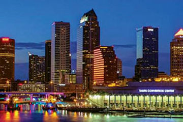 Tampa city night skyline