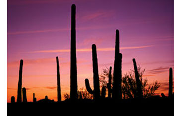 Tucson desert sky
