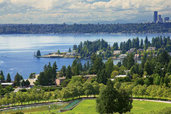 Skyline Park Bellevue