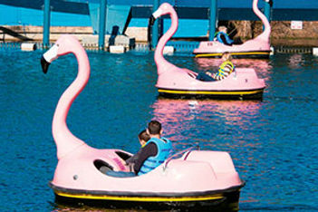 flamingo paddle boats at SeaWorld Orlando