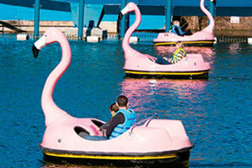 flamingo paddle boats at SeaWorld Orlando