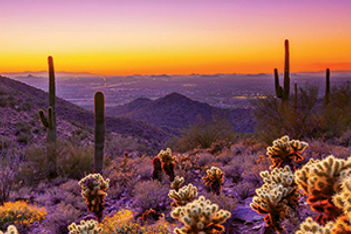 Scottsdale desert opener