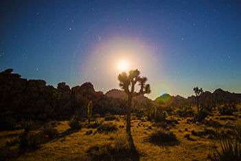 Greater Palm Springs