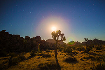 Greater Palm Springs