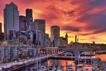 Washington guide 16