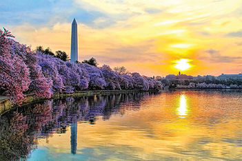Washington DC