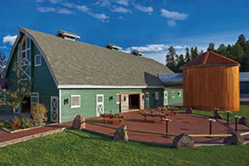 Paws-Up-Bull-Barn-Montana-2