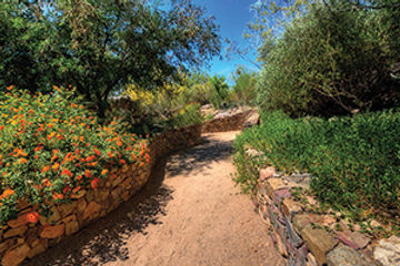 Tucson, Ariz.