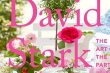 cover of David Stark's book