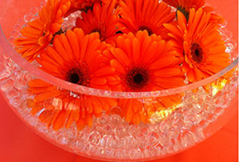 Water Beads for Blooms