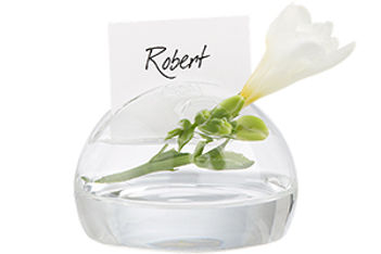 Versatile Vases
