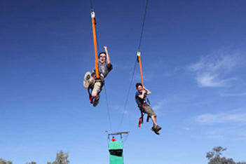 Zip-Line Activity
