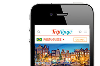 Portable Translator