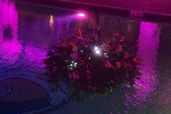 jupiterpool