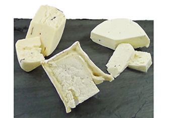 Truffle Cheese