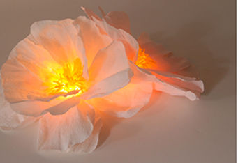 Paper Flower Centerpiece