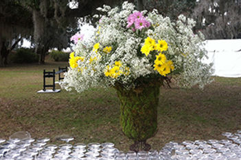 Budget-Friendly Flowers