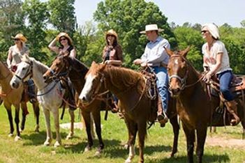 Rodeo Challenge