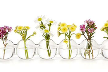 Multi-Bud Vase