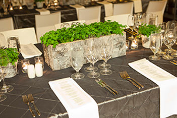 Herbal Centerpiece