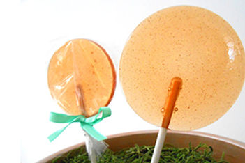 Cocktail Pops