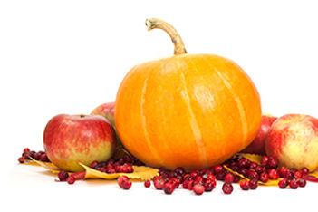 Apple- and Pumpkin-Themed Breaks